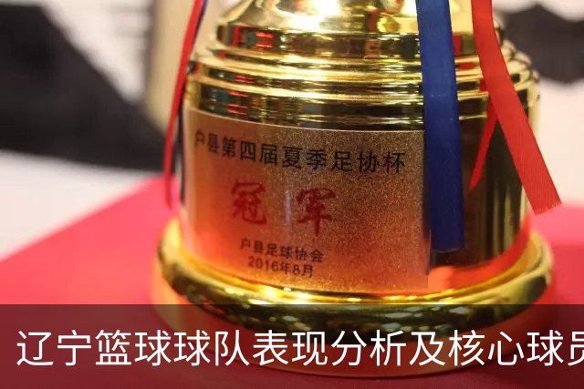 辽宁篮球球队表现分析及核心球员发展探讨